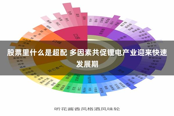 股票里什么是超配 多因素共促锂电产业迎来快速发展期
