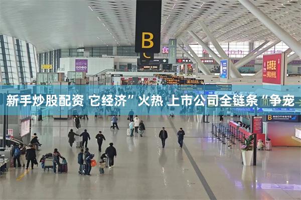 新手炒股配资 它经济”火热 上市公司全链条“争宠