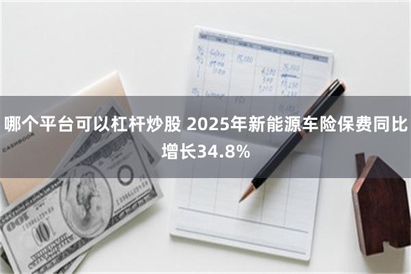 哪个平台可以杠杆炒股 2025年新能源车险保费同比增长34.8%