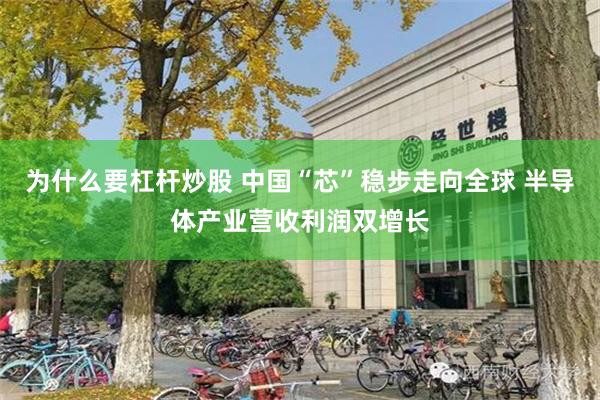 为什么要杠杆炒股 中国“芯”稳步走向全球 半导体产业营收利润双增长