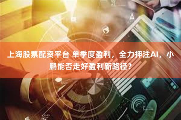 上海股票配资平台 单季度盈利，全力押注AI，小鹏能否走好盈利新路径？