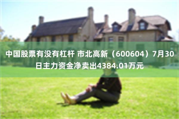 中国股票有没有杠杆 市北高新（600604）7月30日主力资金净卖出4384.01万元