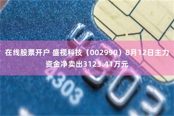 在线股票开户 盛视科技（002990）8月12日主力资金净卖出3123.41万元