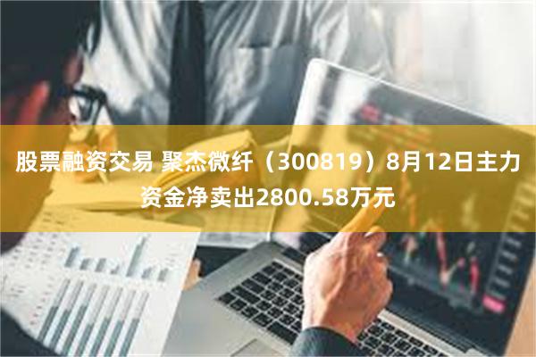 股票融资交易 聚杰微纤（300819）8月12日主力资金净卖出2800.58万元