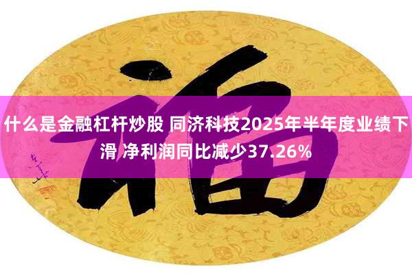 什么是金融杠杆炒股 同济科技2025年半年度业绩下滑 净利润同比减少37.26%