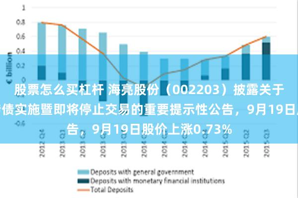股票怎么买杠杆 海亮股份(002203)披露关于提前赎回海亮转债实施暨即将停止交易的重要提示性公告,9月19日股价上涨0.73%