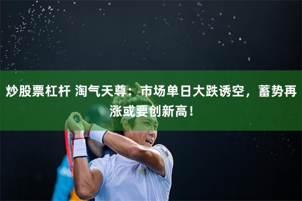 炒股票杠杆 淘气天尊：市场单日大跌诱空，蓄势再涨或要创新高！