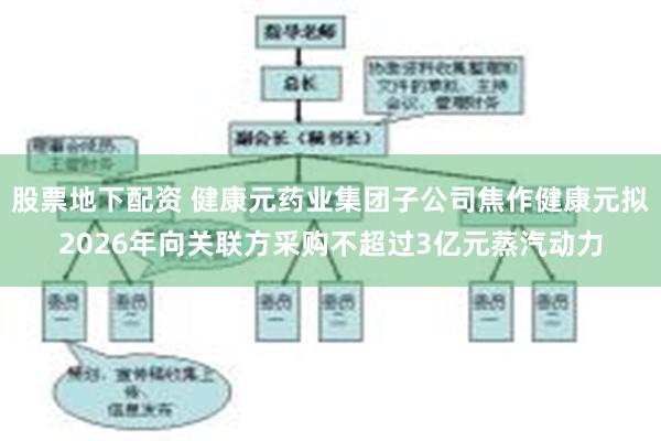 股票地下配资 健康元药业集团子公司焦作健康元拟2026年向关联方采购不超过3亿元蒸汽动力