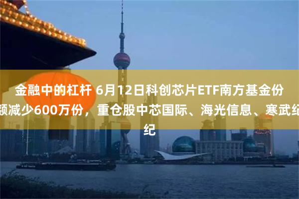 金融中的杠杆 6月12日科创芯片ETF南方基金份额减少600万份，重仓股中芯国际、海光信息、寒武纪