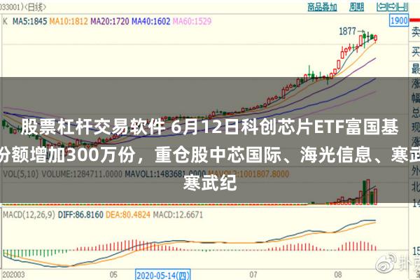 股票杠杆交易软件 6月12日科创芯片ETF富国基金份额增加300万份，重仓股中芯国际、海光信息、寒武纪