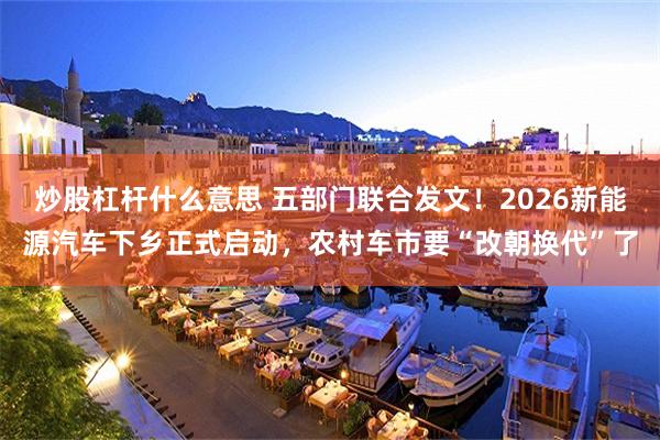 炒股杠杆什么意思 五部门联合发文！2026新能源汽车下乡正式启动，农村车市要“改朝换代”了