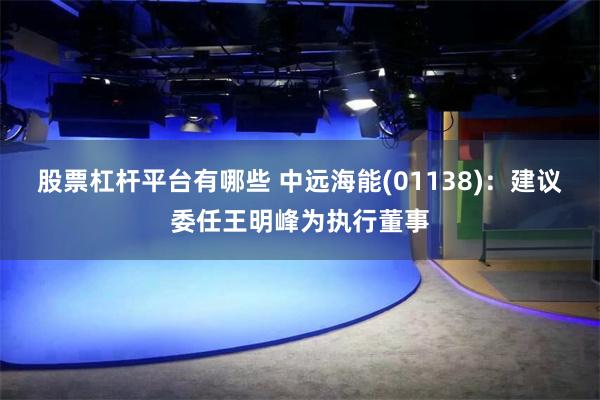 股票杠杆平台有哪些 中远海能(01138)：建议委任王明峰为执行董事