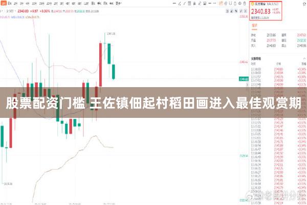 股票配资门槛 王佐镇佃起村稻田画进入最佳观赏期