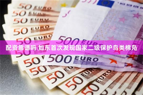 配资靠谱吗 如东首次发现国家二级保护鸟类棉凫