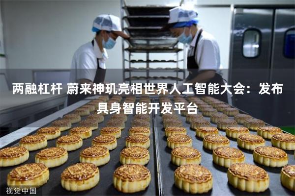 两融杠杆 蔚来神玑亮相世界人工智能大会：发布具身智能开发平台