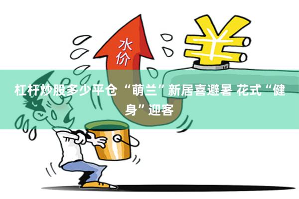 杠杆炒股多少平仓 “萌兰”新居喜避暑 花式“健身”迎客