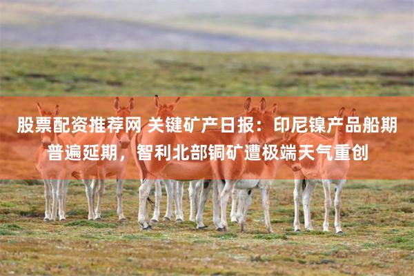股票配资推荐网 关键矿产日报：印尼镍产品船期普遍延期，智利北部铜矿遭极端天气重创