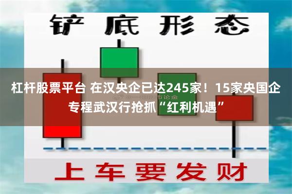 杠杆股票平台 在汉央企已达245家!15家央国企专程武汉行抢抓“红利机遇”