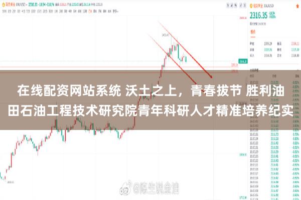 在线配资网站系统 沃土之上,青春拔节 胜利油田石油工程技术研究院青年科研人才精准培养纪实