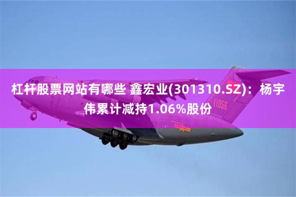 杠杆股票网站有哪些 鑫宏业(301310.SZ)：杨宇伟累计减持1.06%股份
