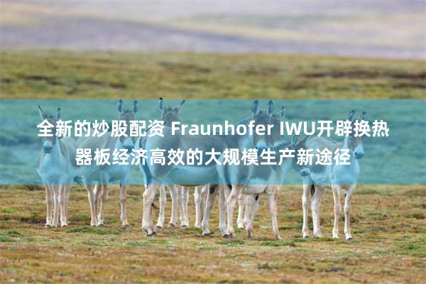 全新的炒股配资 Fraunhofer IWU开辟换热器板经济高效的大规模生产新途径