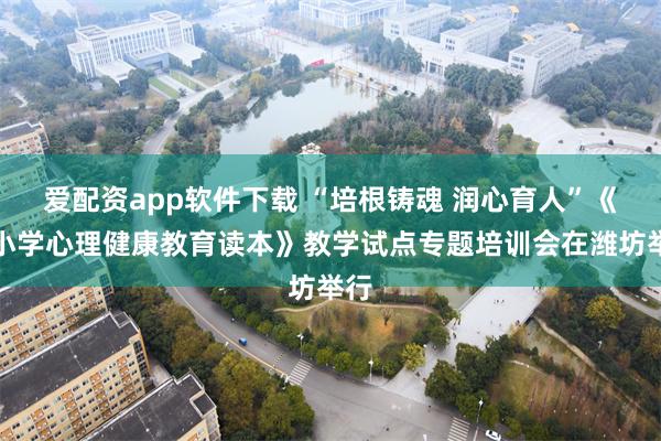 爱配资app软件下载 “培根铸魂 润心育人”《中小学心理健康教育读本》教学试点专题培训会在潍坊举行