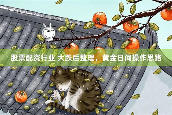股票配资行业 大跌后整理，黄金日间操作思路