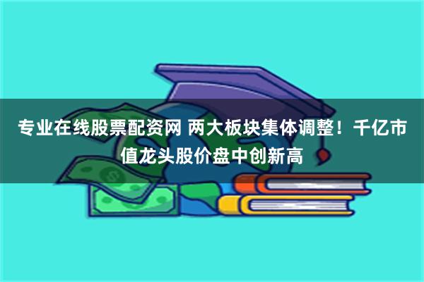 专业在线股票配资网 两大板块集体调整！千亿市值龙头股价盘中创新高