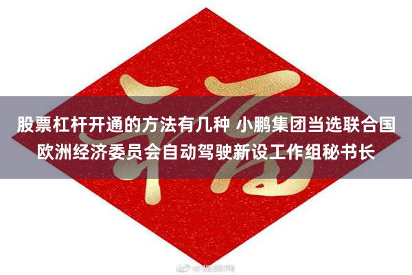 股票杠杆开通的方法有几种 小鹏集团当选联合国欧洲经济委员会自动驾驶新设工作组秘书长