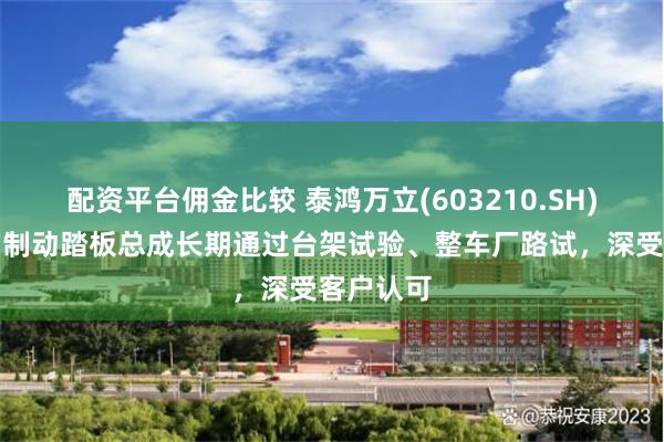 配资平台佣金比较 泰鸿万立(603210.SH)：生产的制动踏板总成长期通过台架试验、整车厂路试，深受客户认可